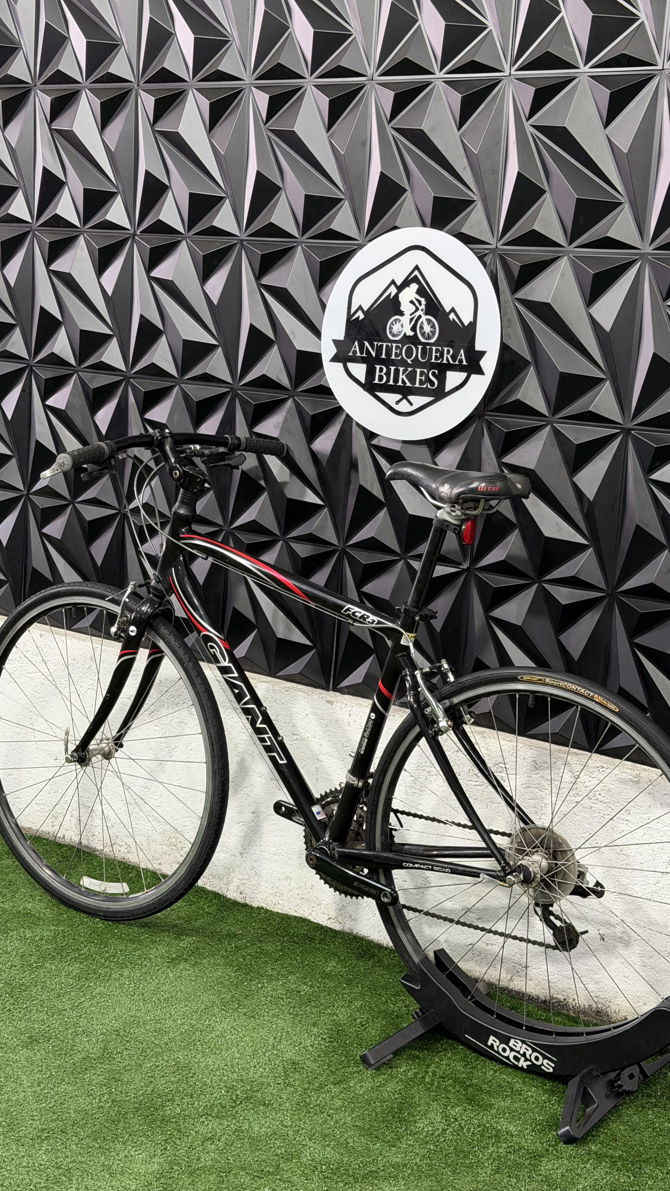 GIANT FCR 3