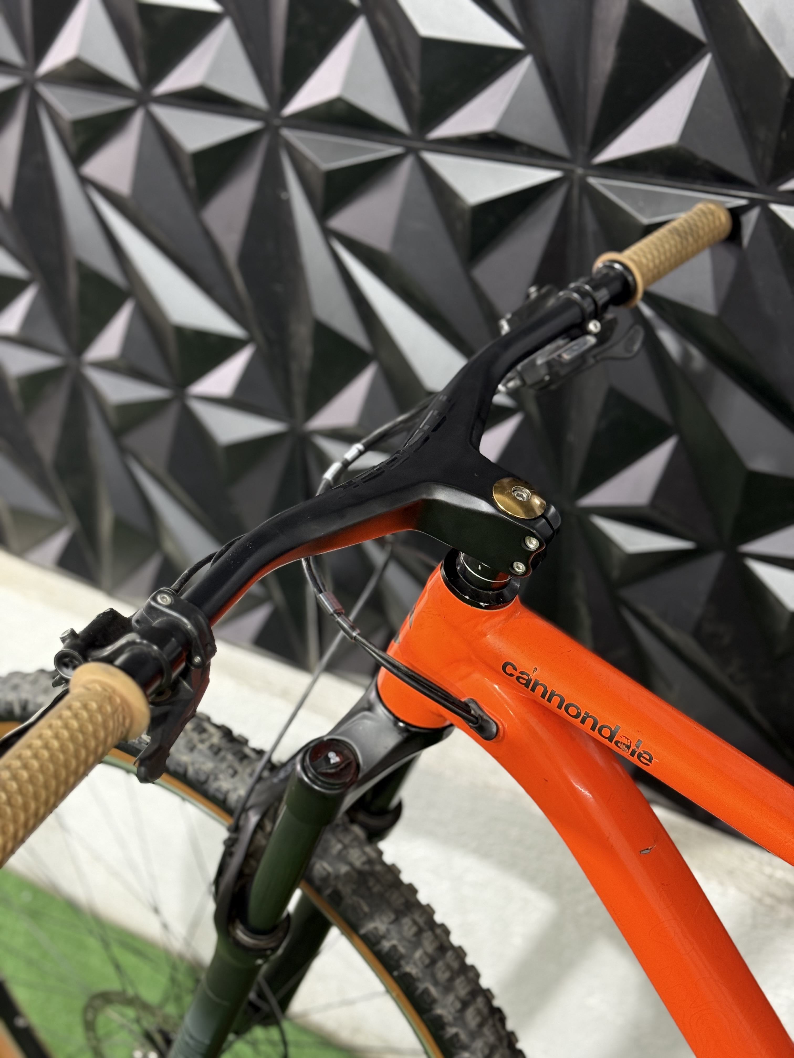 CANNONDALE TRAIL