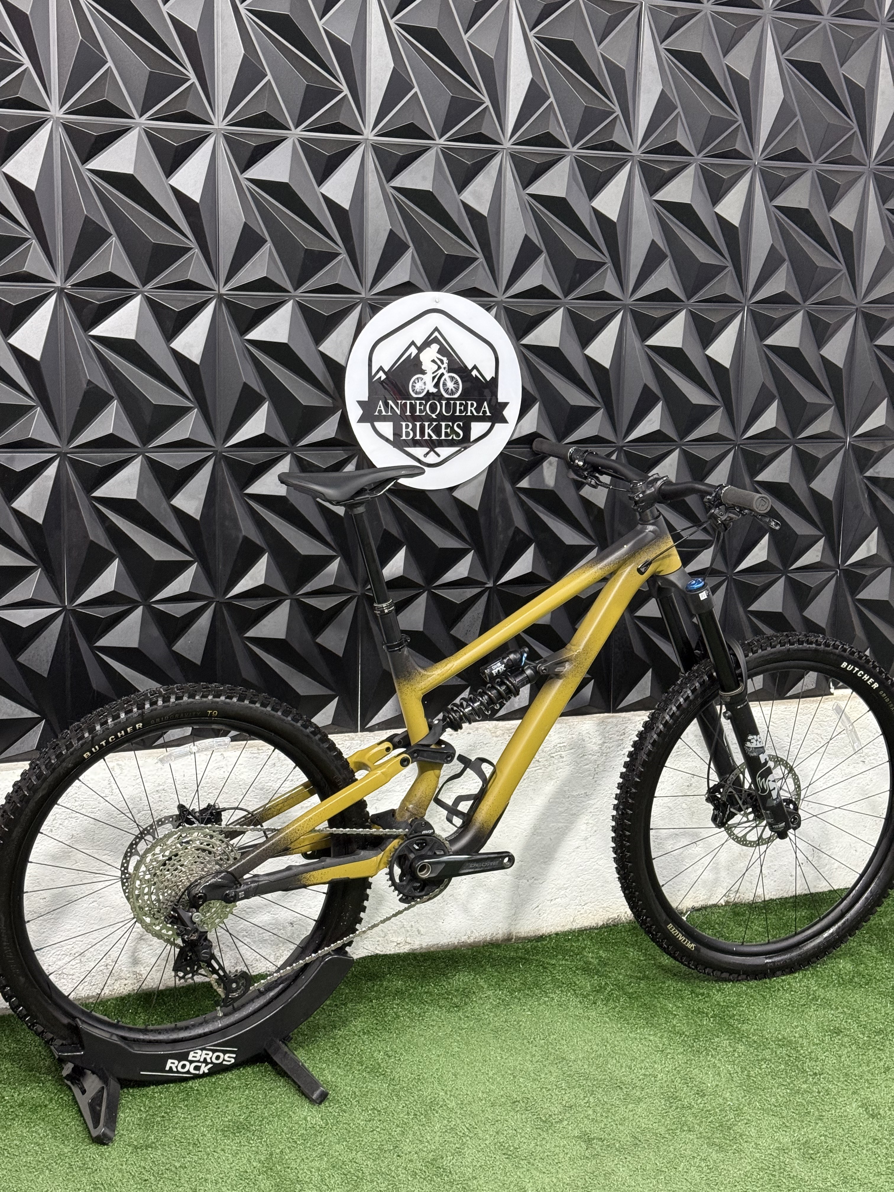 SPECIALIZED STATUS