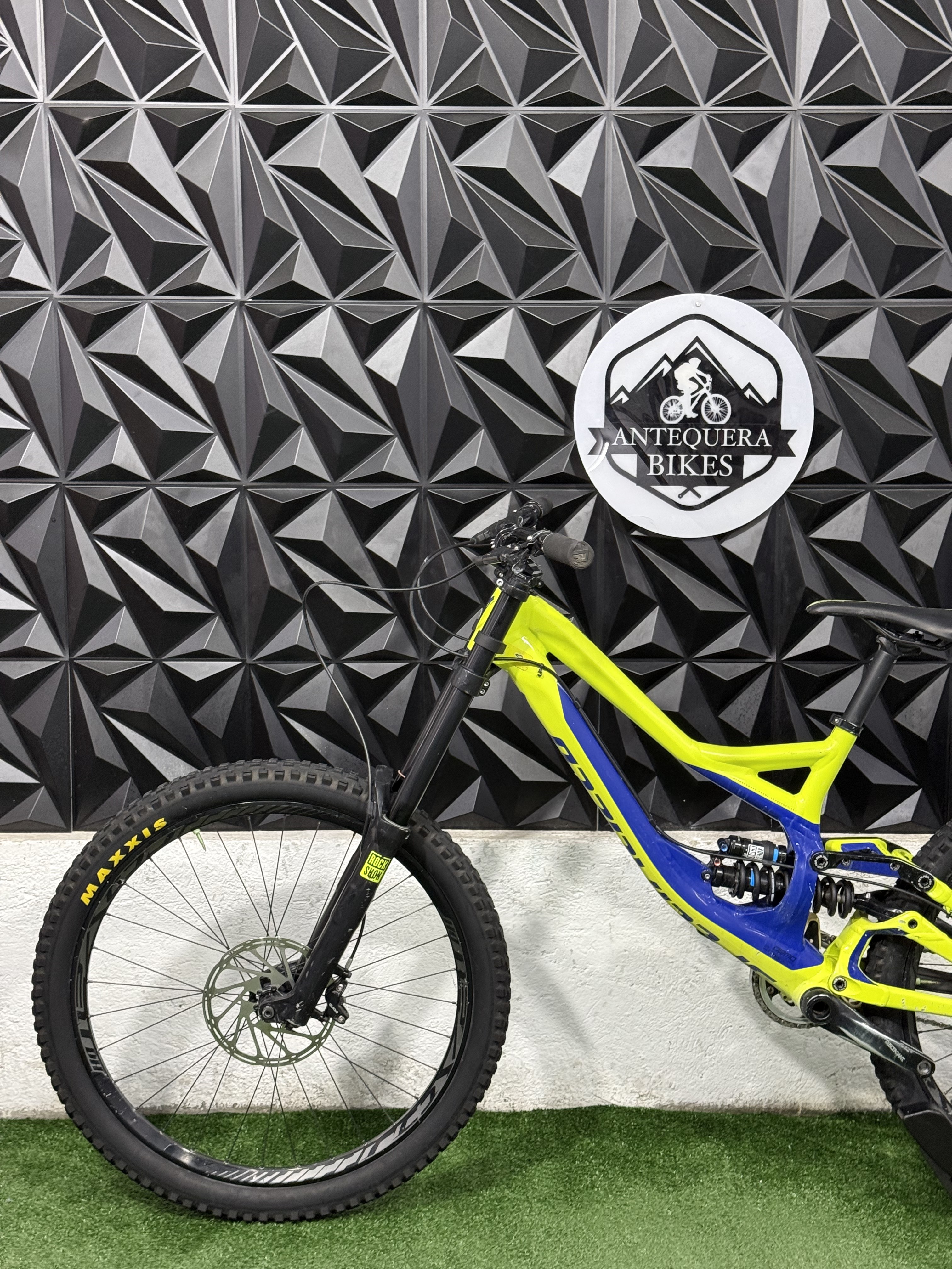 SPECIALIZED DEMO