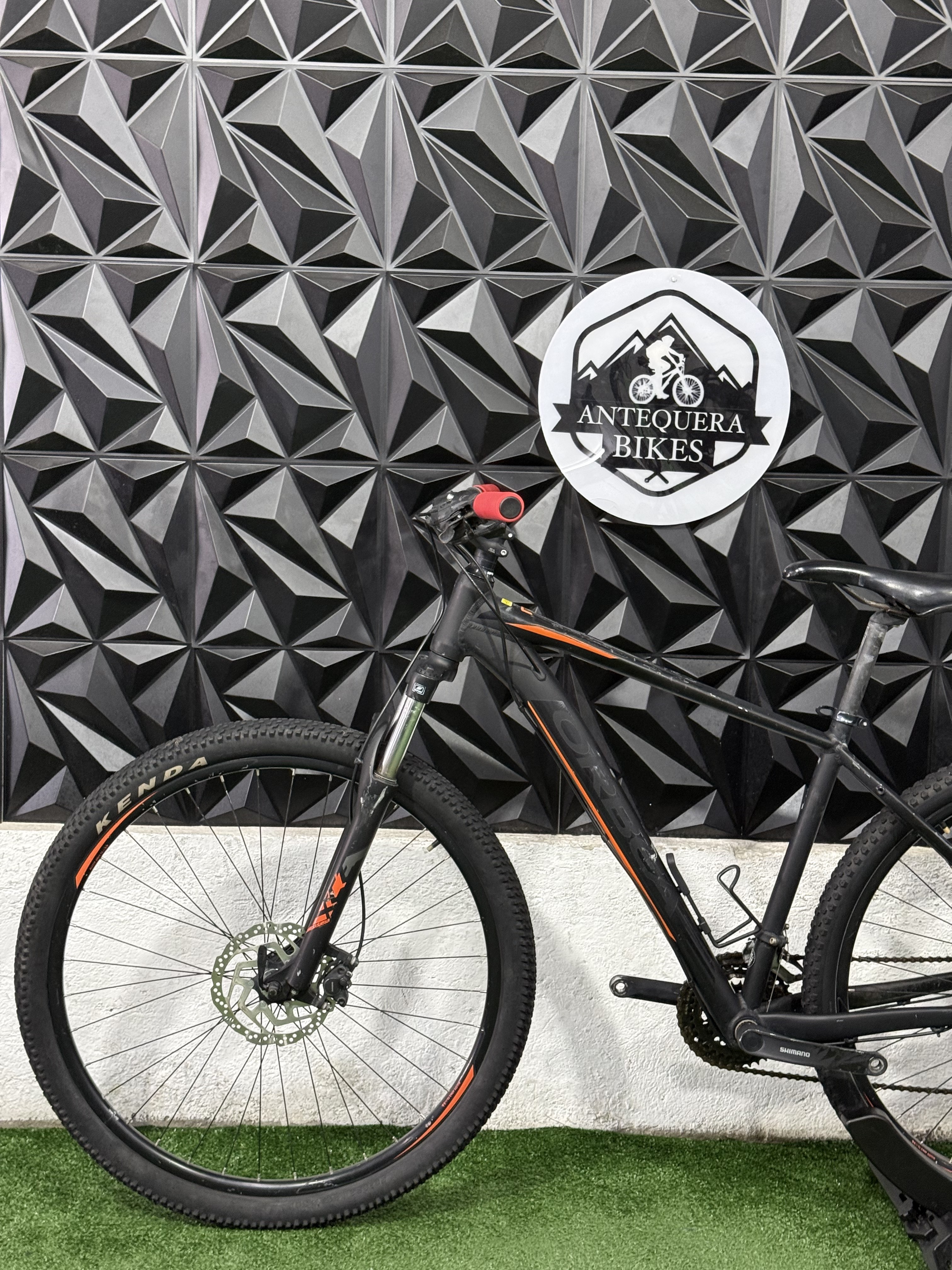 ORBEA MX