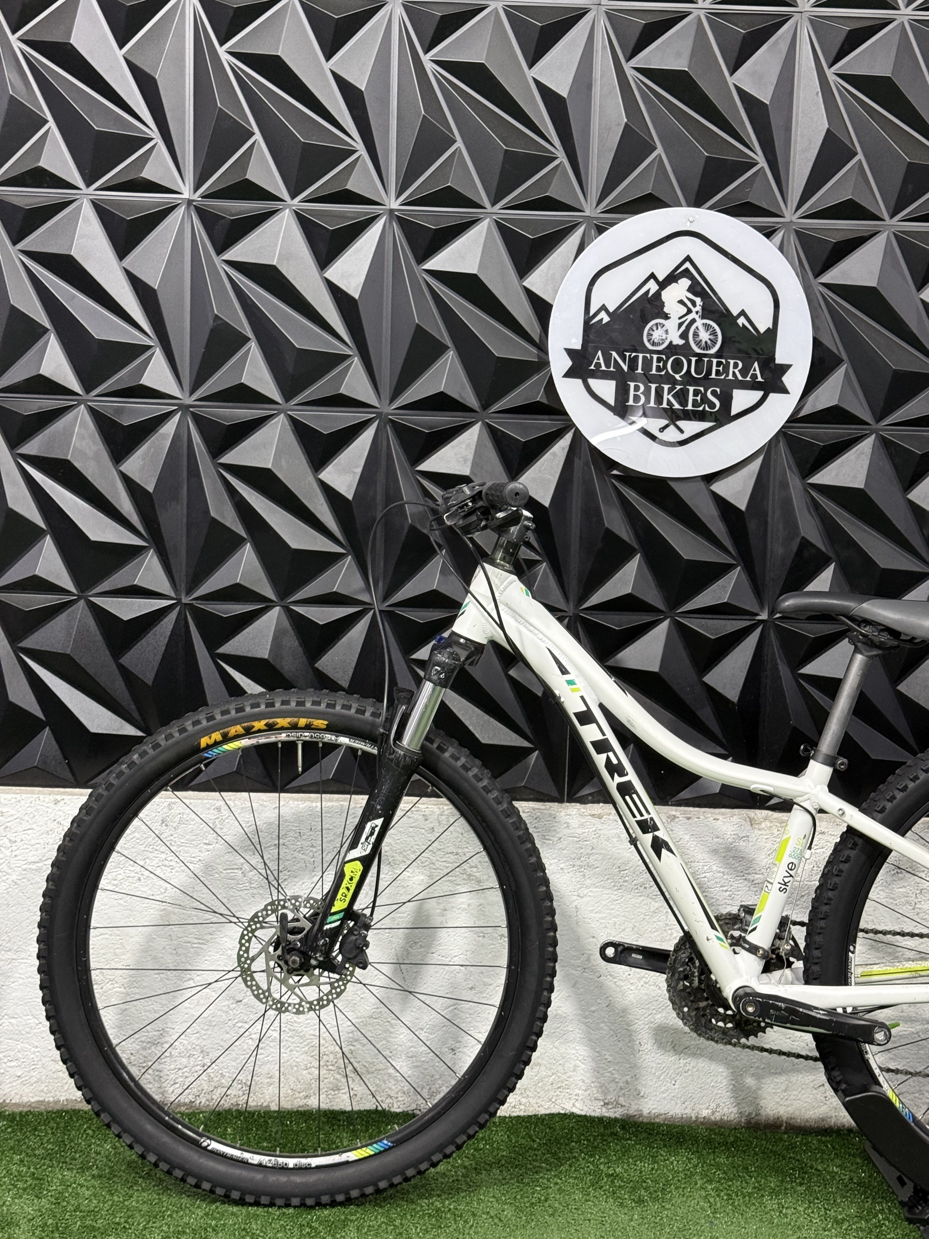 TREK SKYE SL
