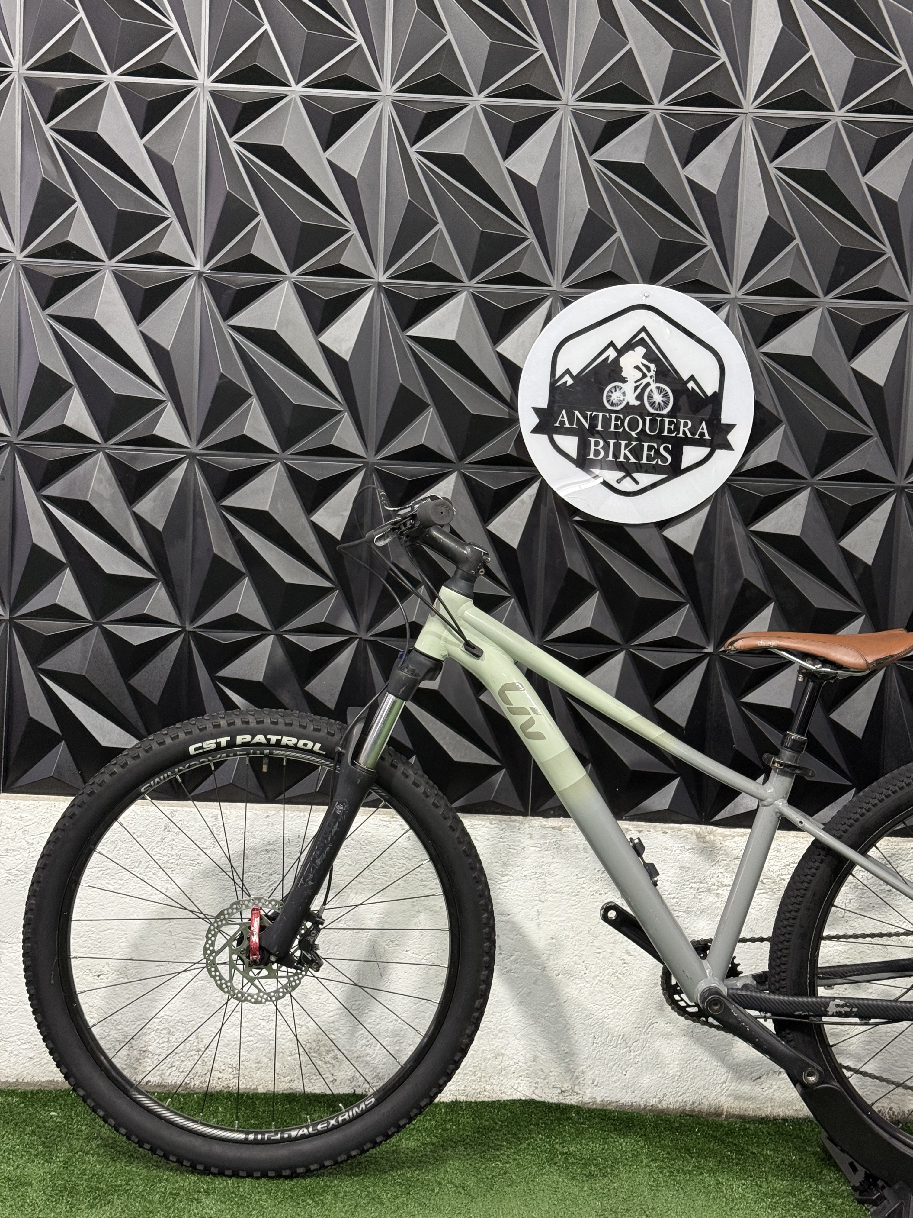 GIANT LIV TEMPT