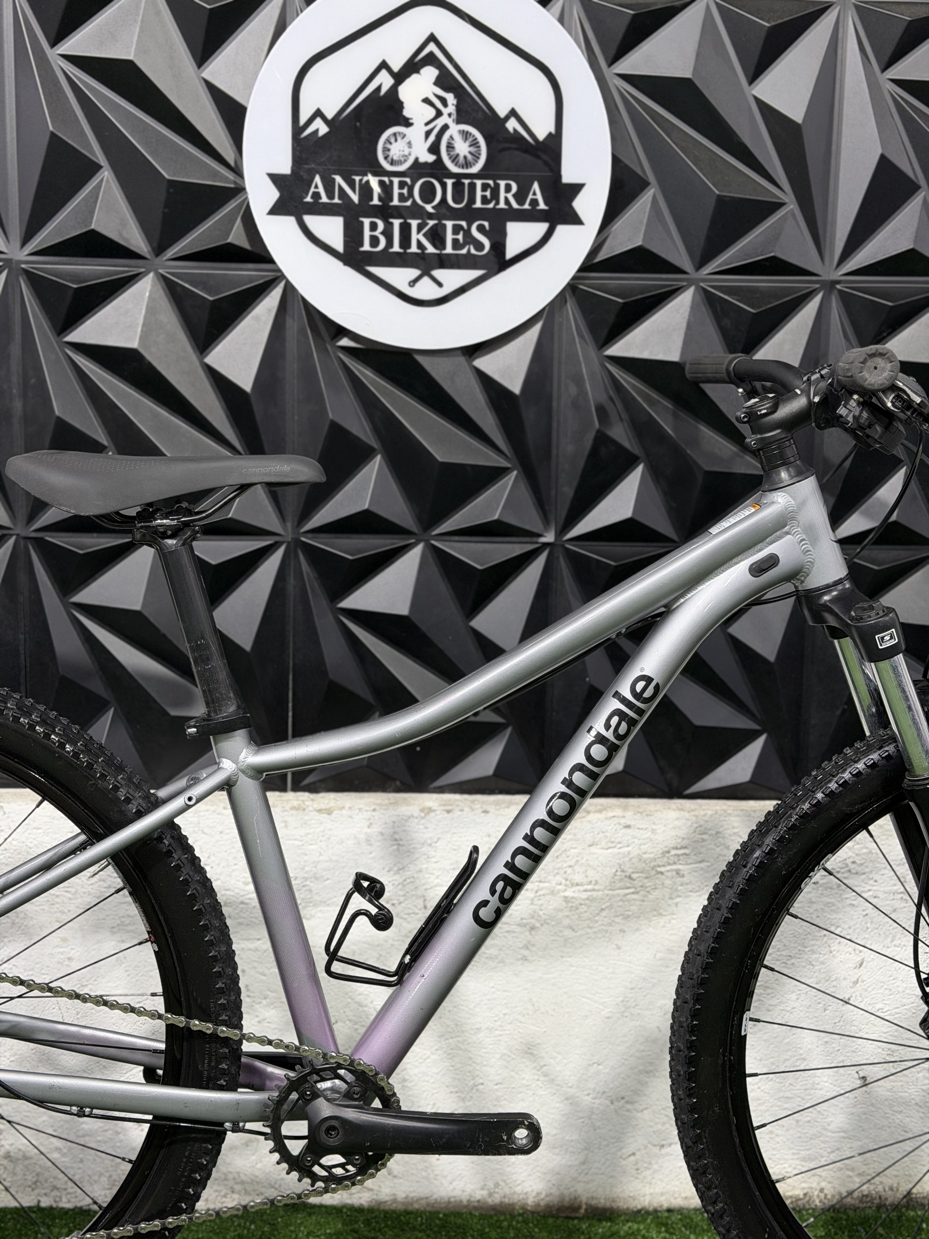 CANNONDALE TRAIL