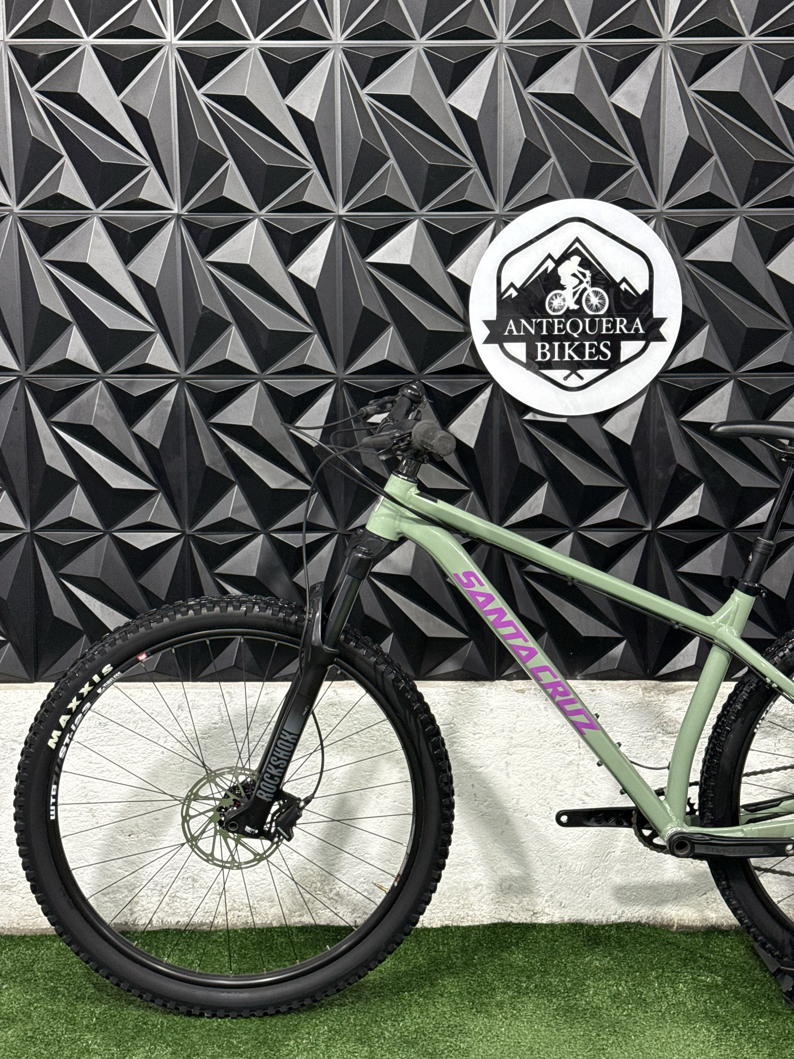 SANTA CRUZ CHAMELEON