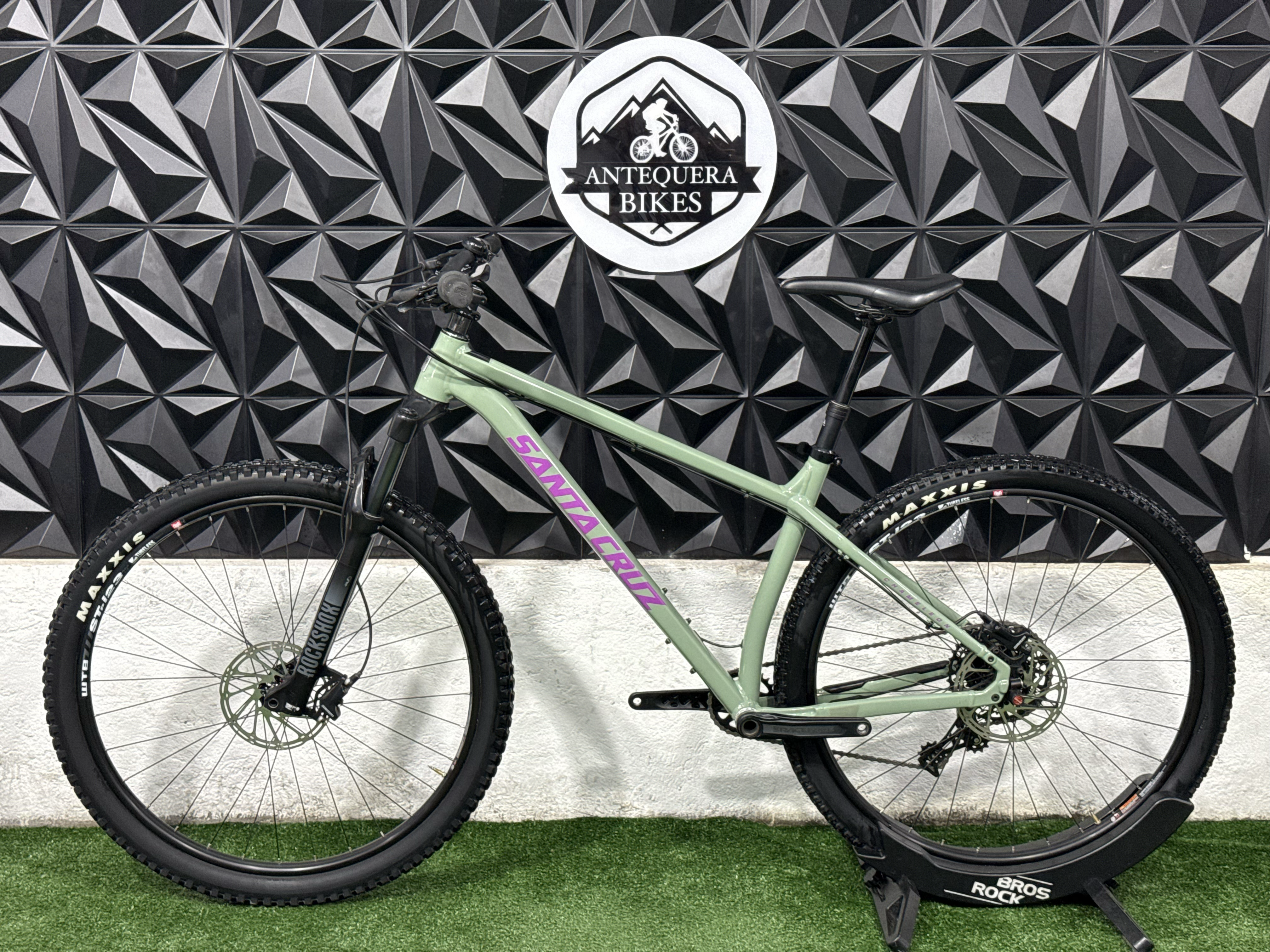 SANTA CRUZ CHAMELEON