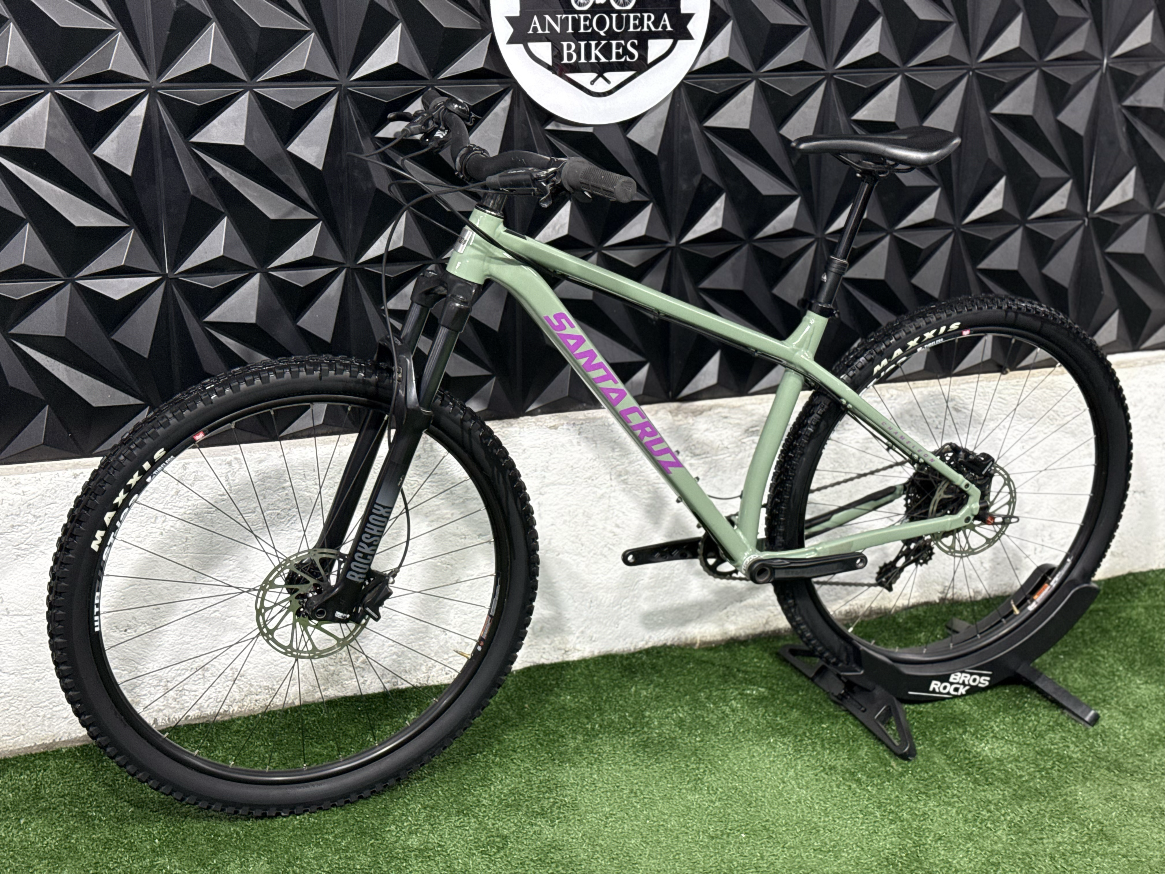 SANTA CRUZ CHAMELEON