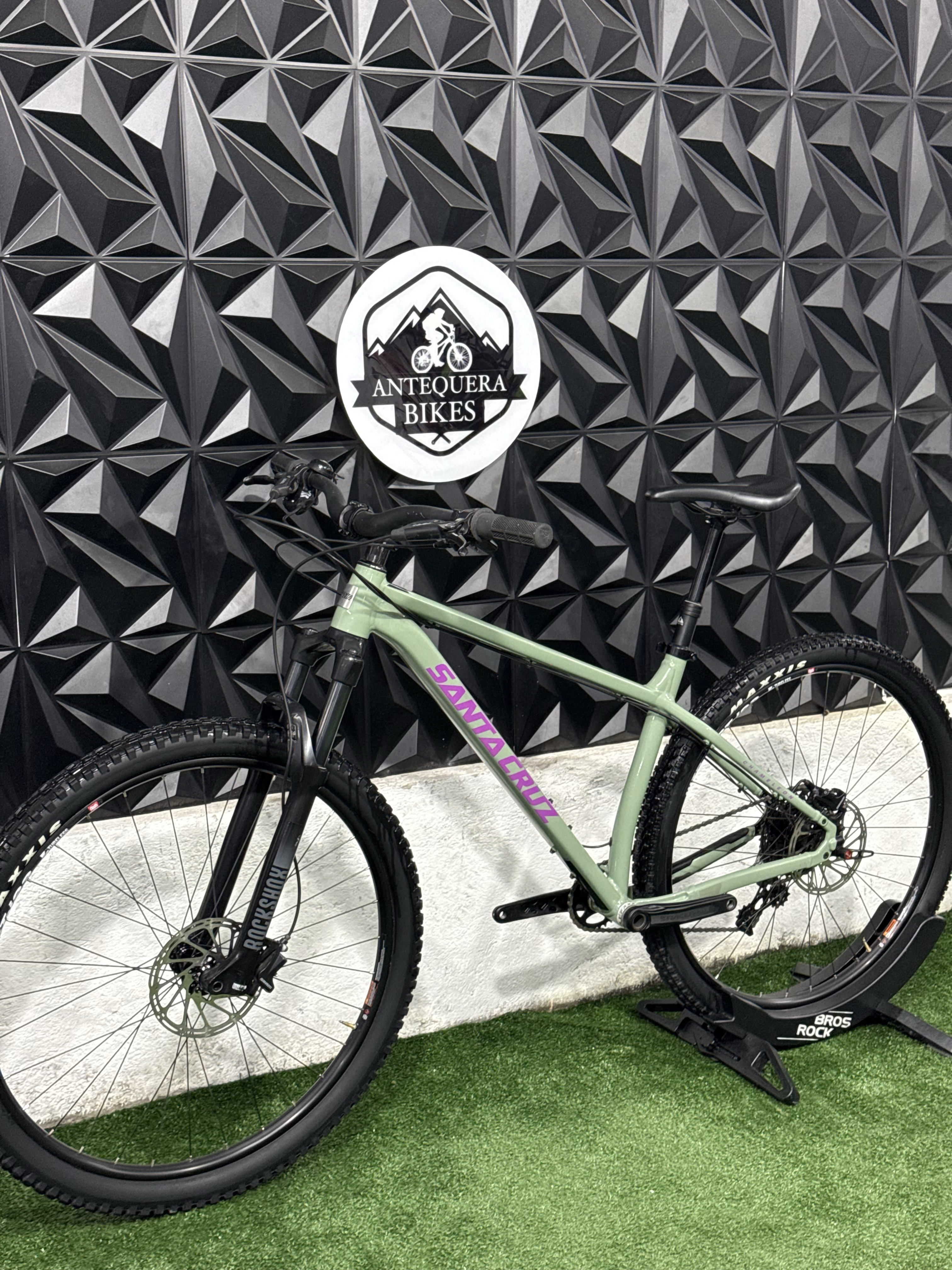 SANTA CRUZ CHAMELEON