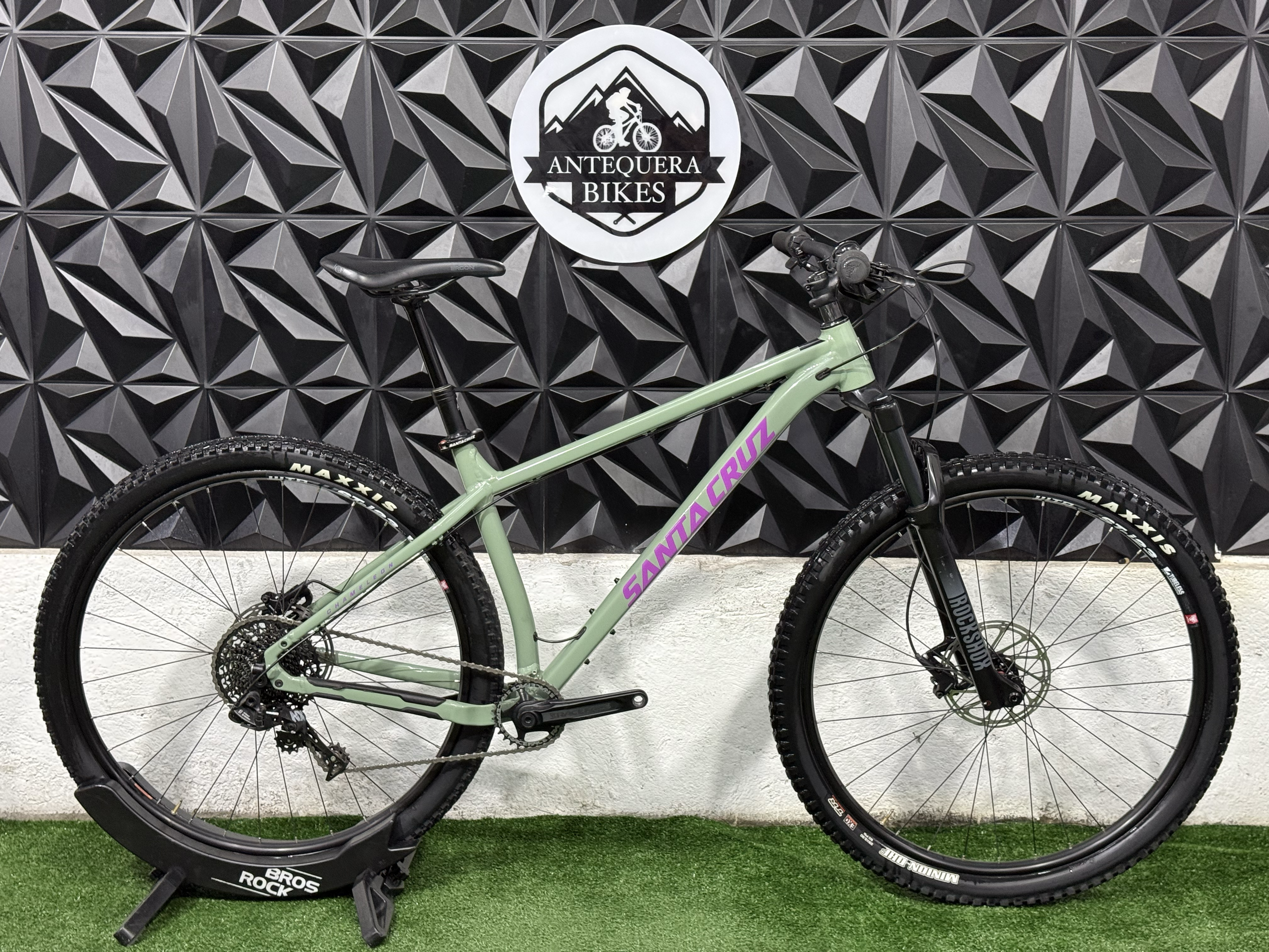 SANTA CRUZ CHAMELEON