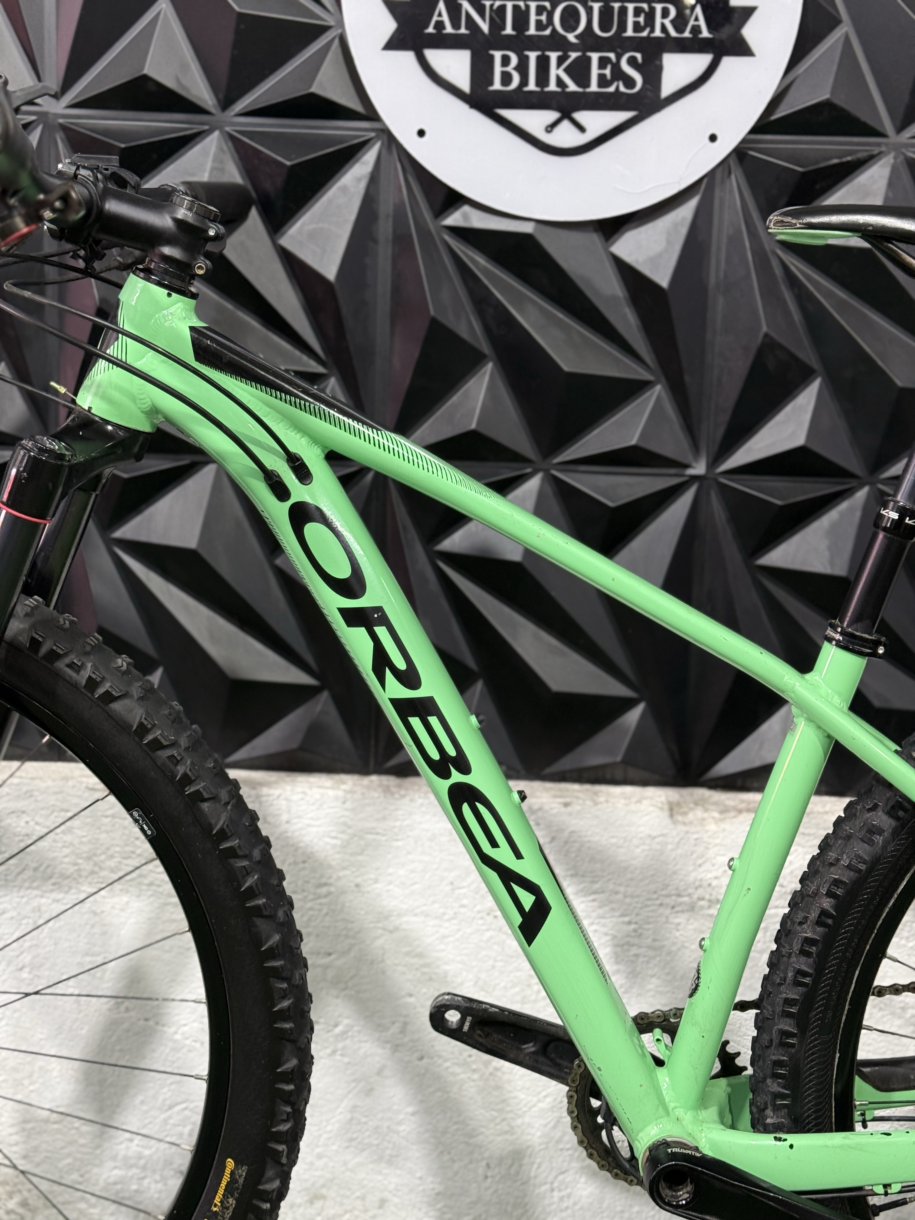 ORBEA ALMA