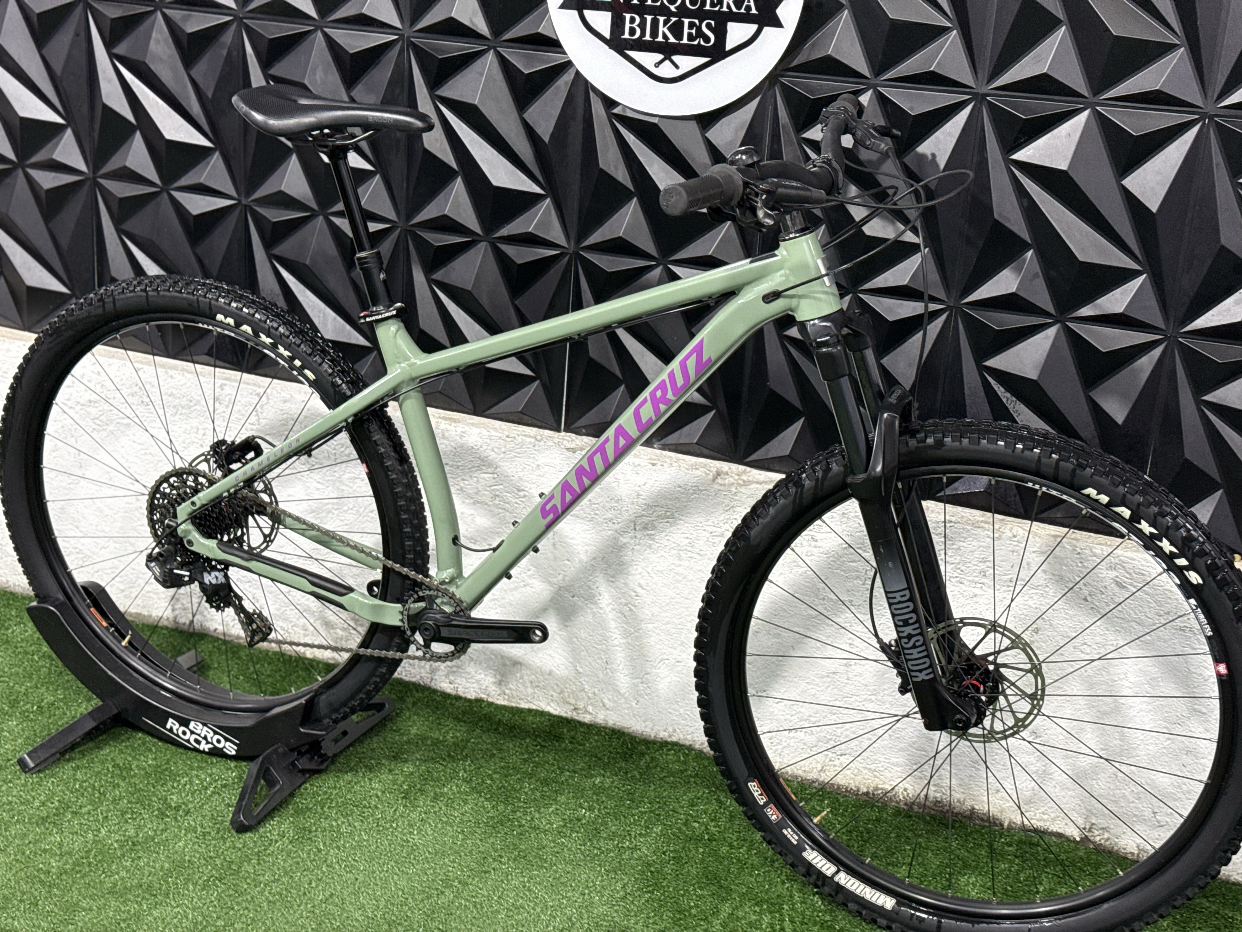 SANTA CRUZ CHAMELEON