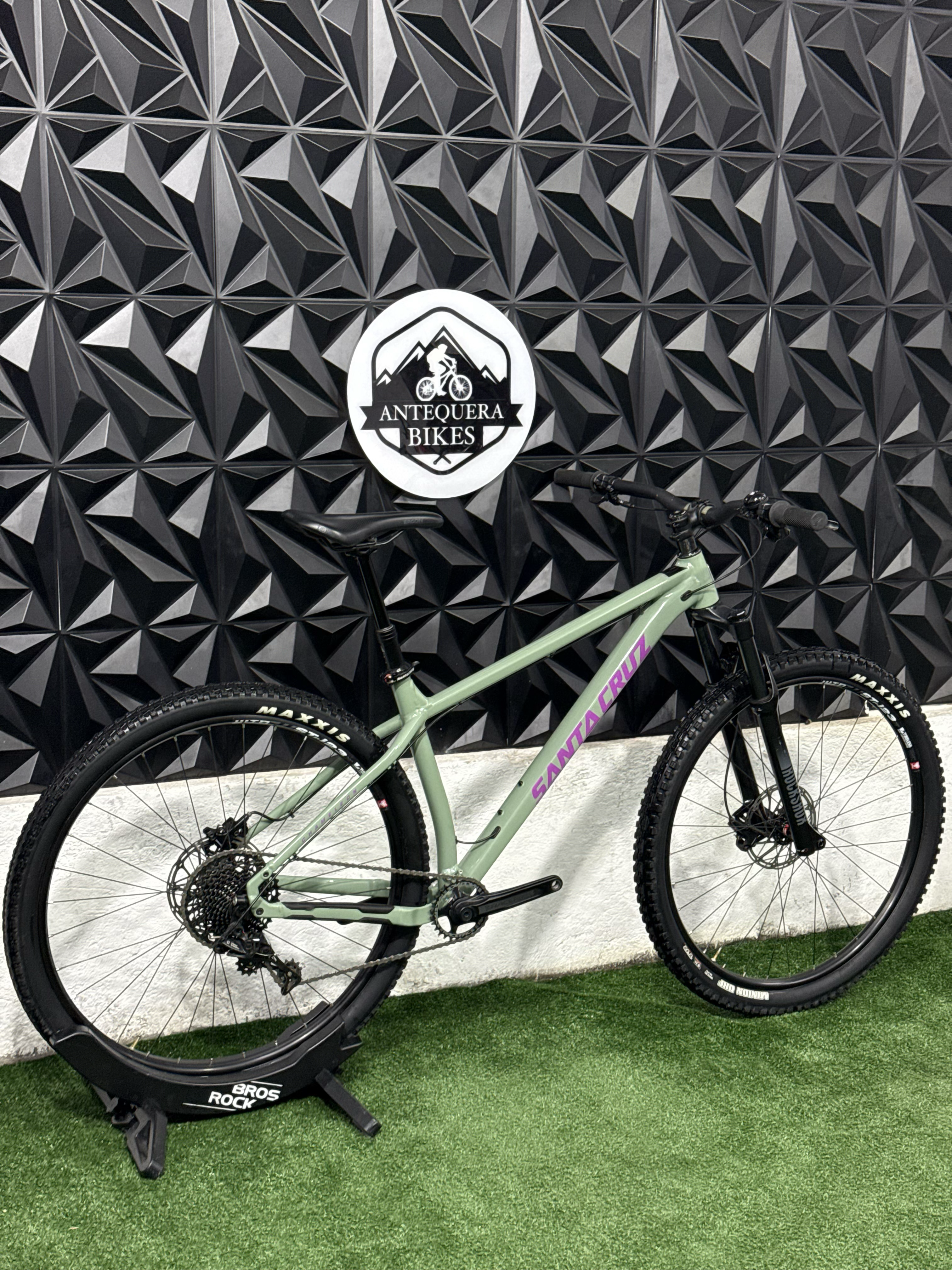 SANTA CRUZ CHAMELEON