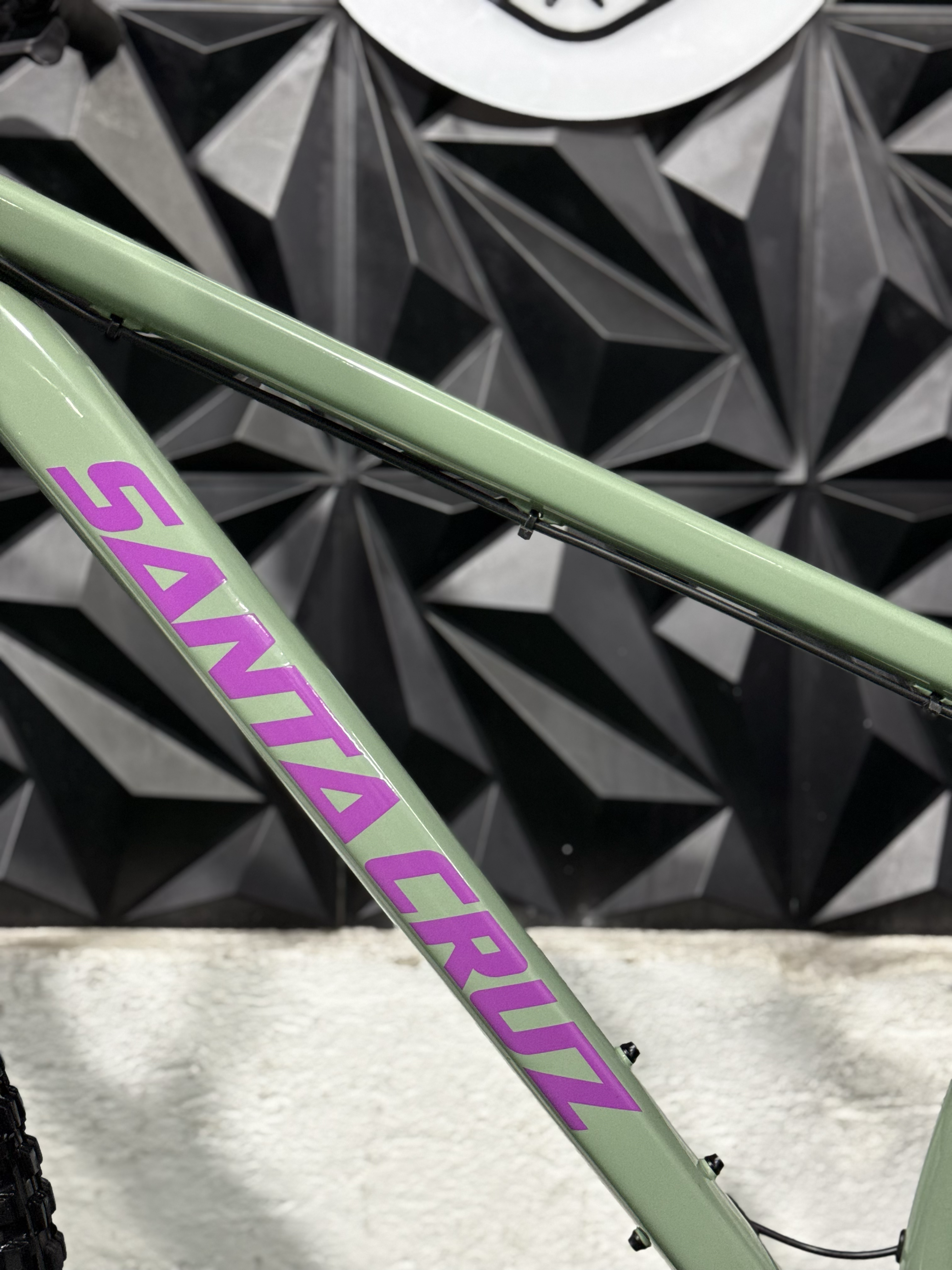 SANTA CRUZ CHAMELEON