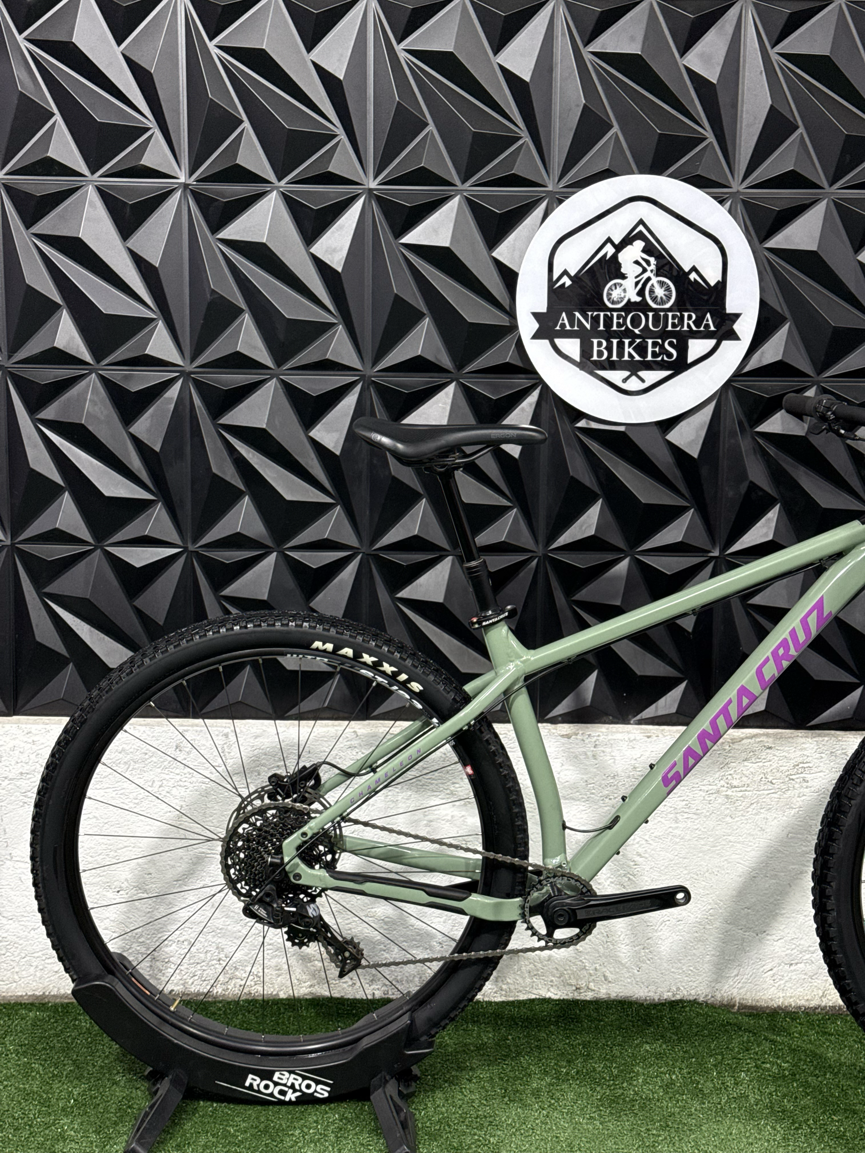 SANTA CRUZ CHAMELEON