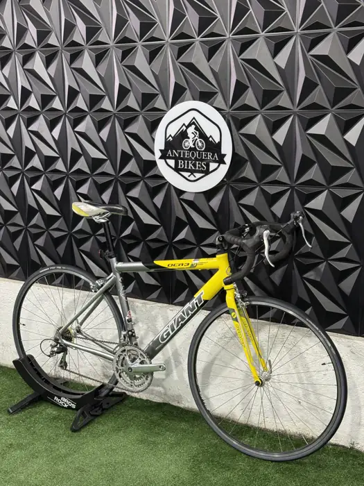 GIANT OCR 3