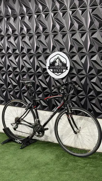 GIANT FCR 3