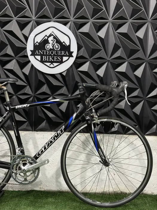 GIANT OCR 3