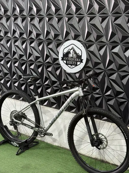 SPECIALIZED ROCKHOPPER EXPERT