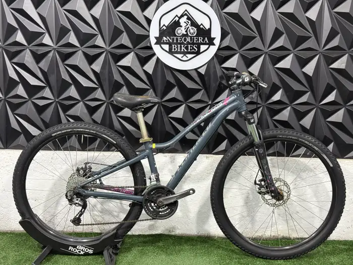 SPECIALIZED JYNX