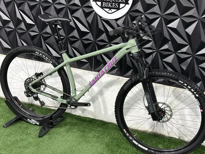 SANTA CRUZ CHAMELEON